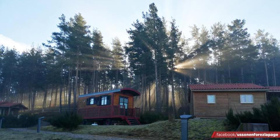 Les Chalets Du Haut-Forez Usson-en-Forez 外观 照片