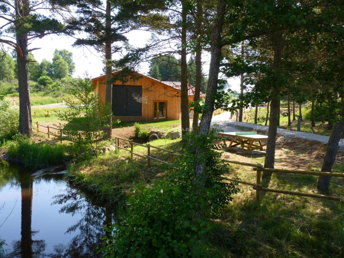 Les Chalets Du Haut-Forez Usson-en-Forez 外观 照片