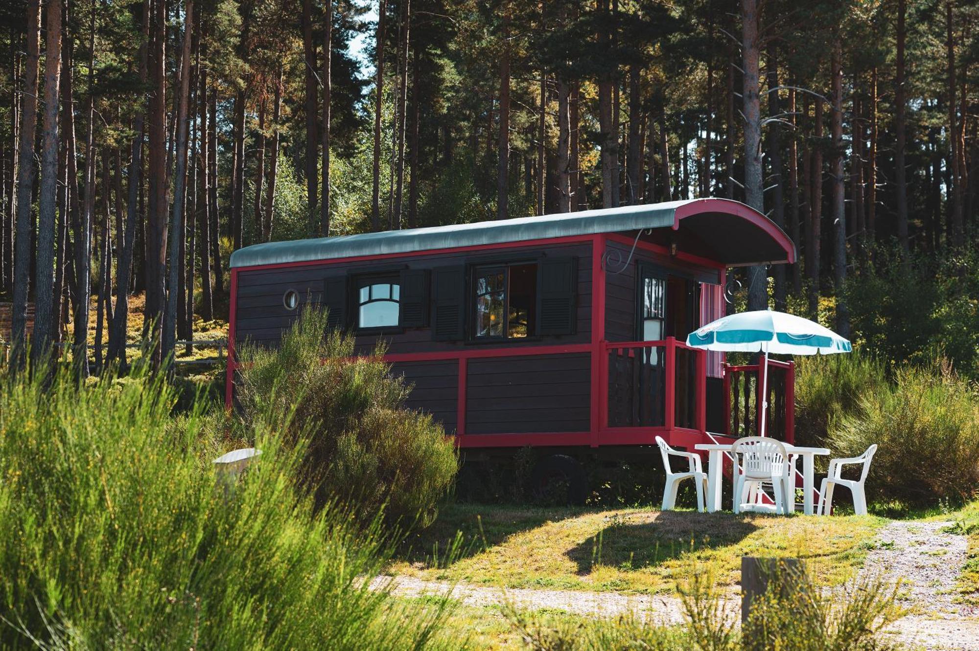 Les Chalets Du Haut-Forez Usson-en-Forez 外观 照片